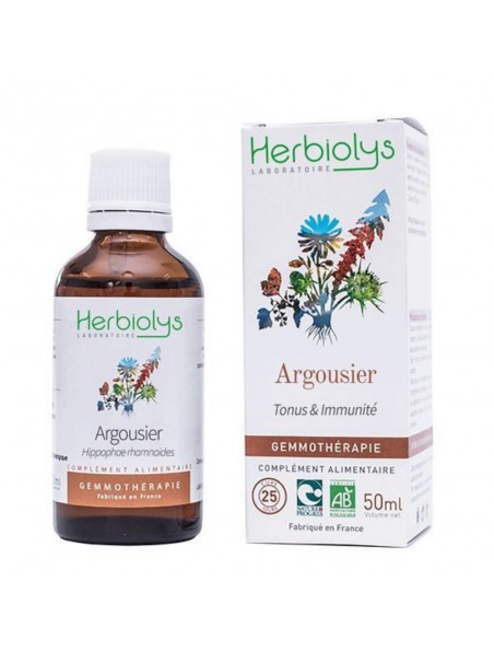 Achetez Argousier Macérât de jeune pousse Bio - Tonus et Immunité 50 ml - Herbiolys à l'herboristerie Louis Image principale de Argousier Macérât de jeune pousse Bio - Tonus et Immunité 50 ml - Herbiolys
