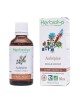 Aubépine Macérât de jeune pousse Bio - Stress et Sommeil 50 ml - Herbiolys