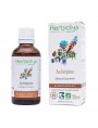 Image de Hawthorn Young shoot macerate Organic - Stress and Sleep 50 ml - (French) Herbiolys via Almond Tree Bud Macerate Organic - Circulation and Purification 50