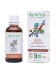 Aulne glutineux Macérât de bourgeon Bio - Circulation et Respiration 50 ml - Herbiolys