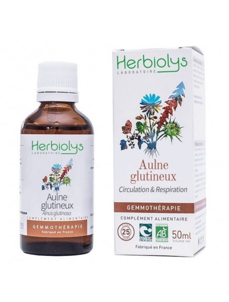 Image principale de Aulne glutineux Macérât de bourgeon Bio - Circulation et Respiration 50 ml - Herbiolys