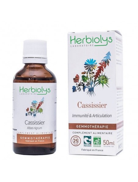 Cassissier (Cassis) Macérât de bourgeon Bio - Immunité et Articulation 50 ml - Herbiolys