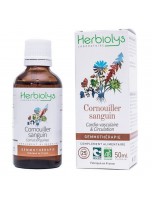 Image de Cornouiller sanguin Macérât de bourgeon Bio - Cardio-Vasculaire et Circulation 50 ml - Herbiolys depuis Découvrez nos bourgeons unitaires naturels pour un bien-être complet (2)