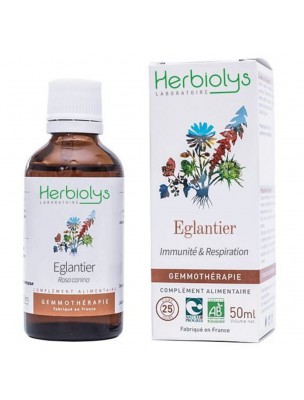 Image de Eglantier Macérât de jeune pousse Bio - Immunité et Respiration 50 ml - Herbiolys depuis Aulne Blanc Macérât Bio - Respiration & Circulation - Herbiolys