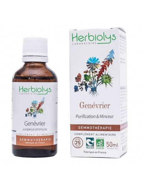 Image principale de Genévrier Macérât de jeune pousse Bio - Purification et Minceur 50 ml - Herbiolys