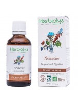 Image de Noisetier Macérât de bourgeon Bio - Respiration et Digestion 50 ml - Herbiolys depuis Découvrez nos bourgeons unitaires naturels pour un bien-être complet (4)