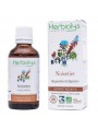 Image de Hazelnut Bud Macerate Organic - Breathing and Digestion 50 ml Herbiolys via Buy Birch bud macerate organic - Purification and