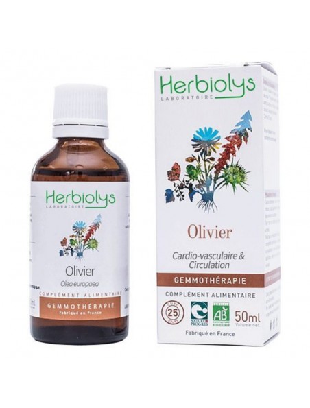 Olivier Macérât de jeune pousse Bio - Coeur et Purification 50 ml - Herbiolys