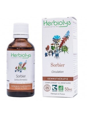 Image de Sorbier domestique Macérât de bourgeon Bio - Circulation et Acouphènes 50 ml - Herbiolys via Oriculi Vert - Nettoyeur d'oreilles écologique - Lamazuna