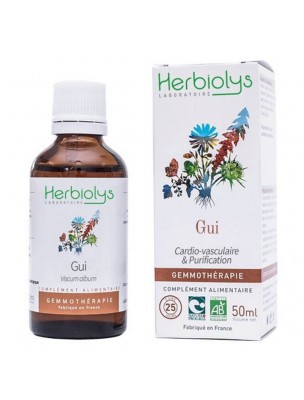 Image de Gui Macérât de bourgeon Bio - Cardio-vasculaire et Purification 50 ml - Herbiolys depuis louis-herboristerie