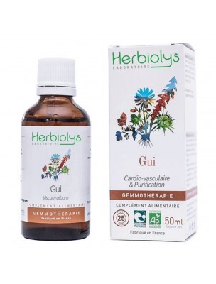 Image de Gui Macérât de bourgeon Bio - Cardio-vasculaire et Purification 50 ml - Herbiolys depuis Achetez les produits Herbiolys à l'herboristerie Louis (4)