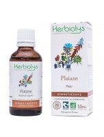 Image de Platane Macérât de bourgeon Bio - Peau 50 ml - Herbiolys depuis Découvrez nos bourgeons unitaires naturels pour un bien-être complet (5)