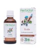 Erable Champêtre Macérât de bourgeon Bio - Purification et Immunité 50 ml - Herbiolys