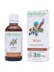 Mélèze Macérât de bourgeon Bio - Tonus et Circulation 50 ml - Herbiolys