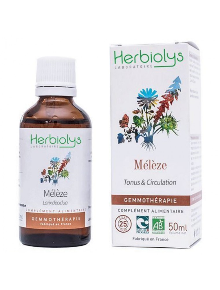 Image principale de la modale pour Mélèze Macérât de bourgeon Bio - Tonus et Circulation 50 ml - Herbiolys