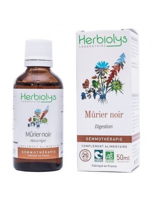 Image de Mûrier Noir Macérât de bourgeon Bio - Digestion 50 ml - Herbiolys depuis Résultats de recherche pour "Flacon en verre"