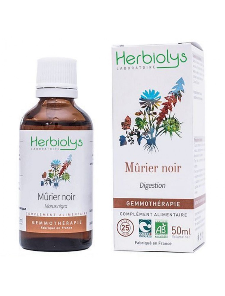 Image principale de la modale pour Mûrier Noir Macérât de bourgeon Bio - Digestion 50 ml - Herbiolys