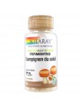 Image de Fermented Sun Mushroom - Immunity and Detox -60 capsules - Solaray via Buy Goji 500 mg - Vitality 80 vegetarian capsules -