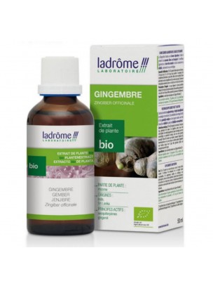 Image de Gingembre Bio - Digestion Teinture-mère Zingiber officinale 50 ml - Ladrôme via Bilva Bio - Confort digestif 60 gélules - Ayur-Vana