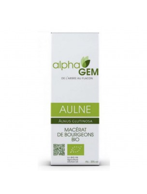 Image de Aulne Macérat de bourgeons Bio - Alnus glutinosa 50 ml - Alphagem depuis louis-herboristerie