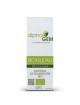 Bouleau Macérat de bourgeons Bio - Betula alba 50 ml - Alphagem