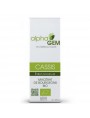 Image de Cassis Macérat de bourgeons Bio - Ribes nigrum 50 ml - Alphagem via Acheter Harpagophytum Bio - Articulations Teinture-mère Harpagophytum