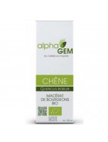 Image de Chêne Macérat de bourgeons Bio - Quercus robur 15 ml - Alphagem depuis Bourgeons de gemmothérapie unitaires, en complexes, en gommes ou sans alcool. (3)