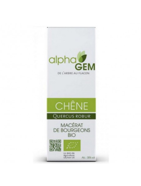 Image principale de Chêne Macérat de bourgeons Bio - Quercus robur 15 ml - Alphagem