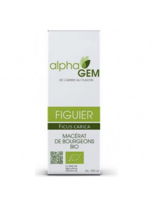 Image de Figuier Macérat de bourgeons Bio - Ficus carica 50 ml - Alphagem via Gem-Relax Complexe n°03 Bio - Alphagem