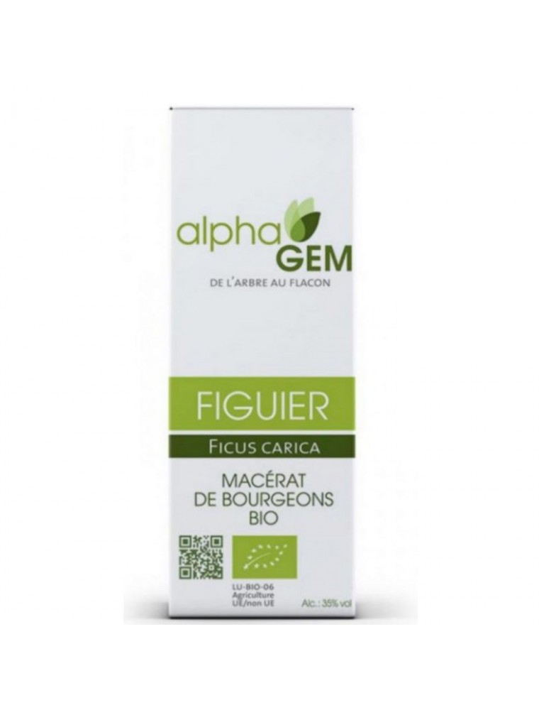 Image principale de la modale pour Figuier Macérat de bourgeons Bio - Ficus carica 50 ml - Alphagem