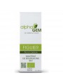 Image de Fig Tree Bud Macerate Organic - Ficus carica 50 ml - Alphagem via Buy Gem-Relax Complex No. 03 Organic - Stress 50 ml