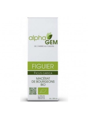 Image de Fig Tree Bud Macerate Organic - Ficus carica 15 ml - Alphagem depuis The buds of plants for the digestion