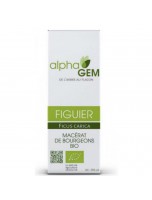 Image de Figuier Macérat de bourgeons Bio - Ficus carica 15 ml - Alphagem depuis Bourgeons de gemmothérapie unitaires, en complexes, en gommes ou sans alcool. (5)
