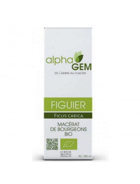 Image principale de Figuier Macérat de bourgeons Bio - Ficus carica 15 ml - Alphagem