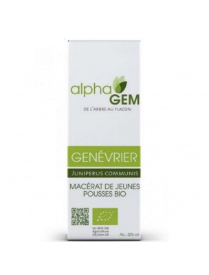 Image de Genévrier Macérat de jeunes pousses Bio - Juniperus communis 50 ml - Alphagem depuis Découvrez nos bourgeons unitaires naturels pour un bien-être complet (3)