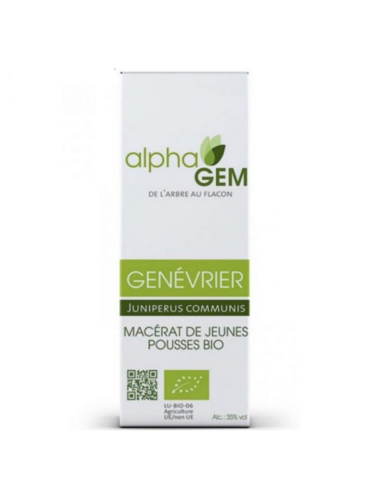 Image principale de la modale pour Genévrier Macérat de jeunes pousses Bio - Juniperus communis 50 ml - Alphagem