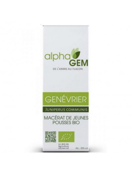 Image principale de Genévrier Macérat de jeunes pousses Bio - Juniperus communis 50 ml - Alphagem