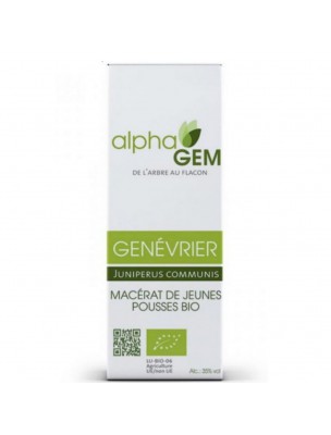 Image de Genévrier Macérat de jeunes pousses Bio - Juniperus communis 15 ml - Alphagem depuis Achetez les produits AlphaGEM à l'herboristerie Louis (3)