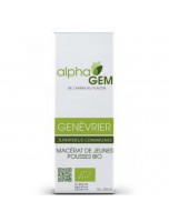 Image de Genévrier Macérat de jeunes pousses Bio - Juniperus communis 15 ml - Alphagem depuis Bourgeons de gemmothérapie unitaires, en complexes, en gommes ou sans alcool. (6)