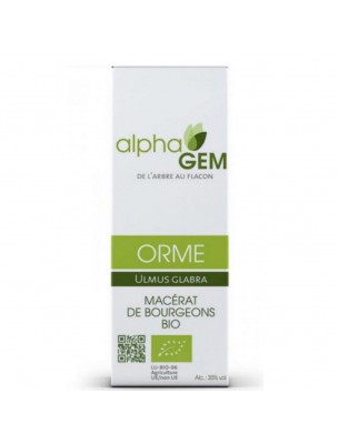 Image de Elm Bud Macerate Organic - Ulmus glabra 50 ml - Alphagem depuis Selection of buds to accompany you in your diet