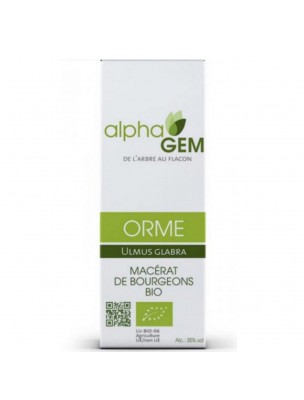 Image de Orme Macérat de bourgeons Bio - Ulmus glabra 50 ml - Alphagem via Salsepareille grise du Mexique - Racine coupée 100g