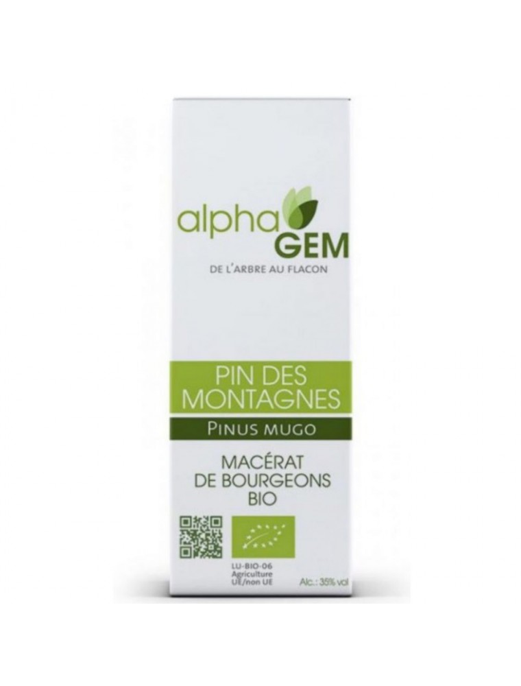 Image principale de la modale pour Pin des montagnes Macérat de bourgeons Bio - Pinus mugo 50 ml - Alphagem