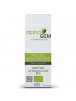 Image de Pin des montagnes Macérat de bourgeons Bio - Pinus mugo 50 ml - Alphagem depuis Découvrez nos bourgeons unitaires naturels pour un bien-être complet (5)