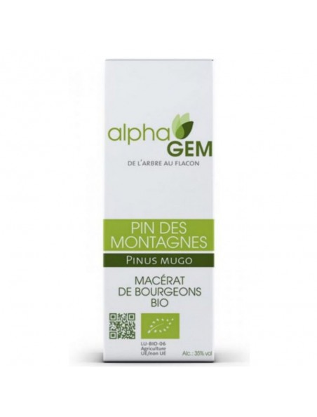 Image principale de Pin des montagnes Macérat de bourgeons Bio - Pinus mugo 50 ml - Alphagem