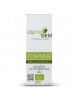 Image de Pommier Macérat de bourgeons Bio - Malus sylvestris 15 ml - Alphagem depuis Découvrez nos bourgeons unitaires naturels pour un bien-être complet (5)