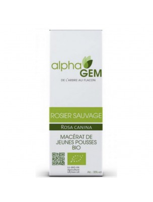 Image de Rosier sauvage Macérat de bourgeons Bio - Rosa canina 15 ml - Alphagem depuis Achetez les produits AlphaGEM à l'herboristerie Louis (4)