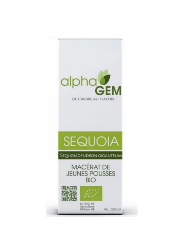 Image principale de la modale pour Sequoia Macérat de jeunes pousses Bio - Sequoiadendron giganteum 50 ml - Alphagem