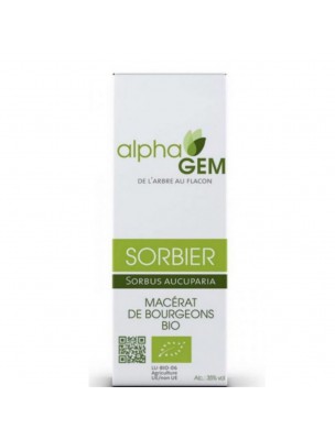 Image de Sorbier Macérat de bourgeons Bio - Sorbus Aucuparia 50 ml - Alphagem via Bougies auriculaires - Non Parfumées 2 pièces - Harmony's Ear Candles