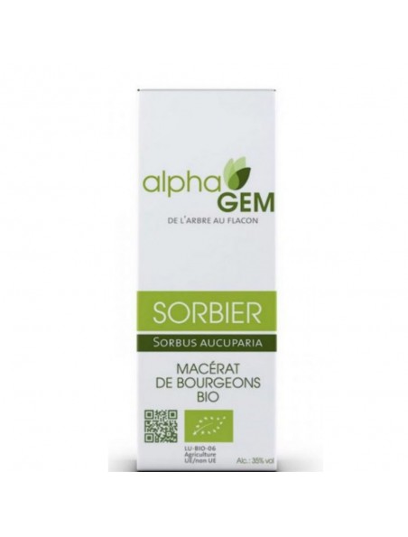 Image principale de Sorbier Macérat de bourgeons Bio - Sorbus Aucuparia 50 ml - Alphagem