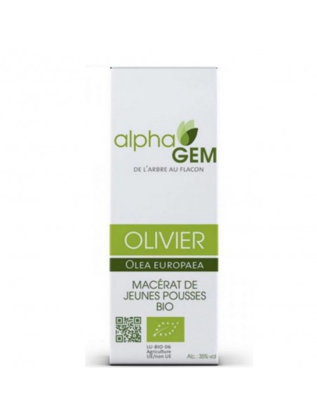 Image principale de Olivier Macérat de jeunes pousses Bio - Olea europaea 15 ml - Alphagem